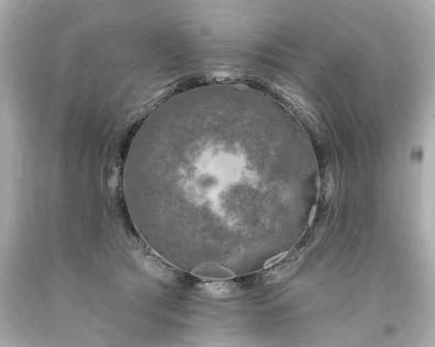 X0000094170417200711020945