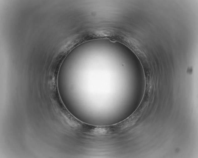 X0000094170418200711020945