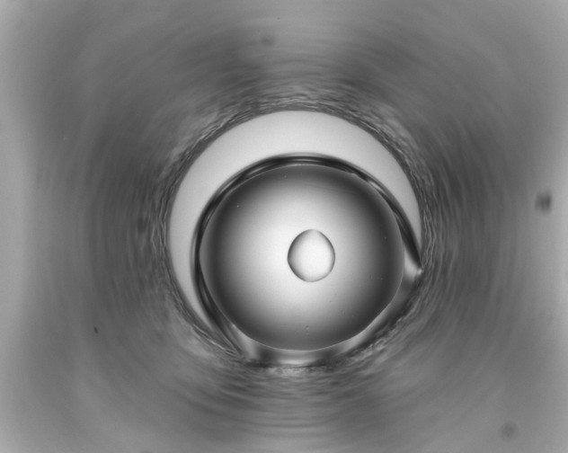X0000094170419200711020945