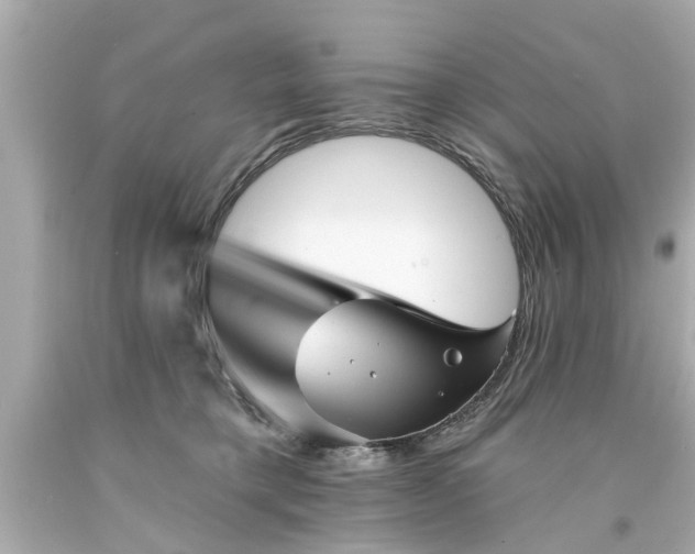 X0000094170421200711020945
