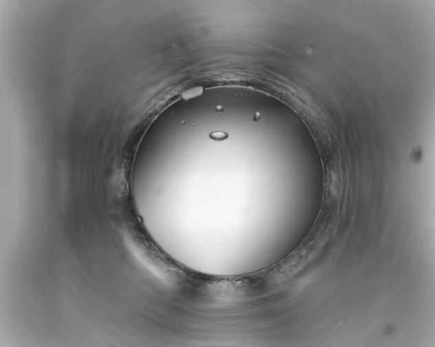 X0000094170422200711020945