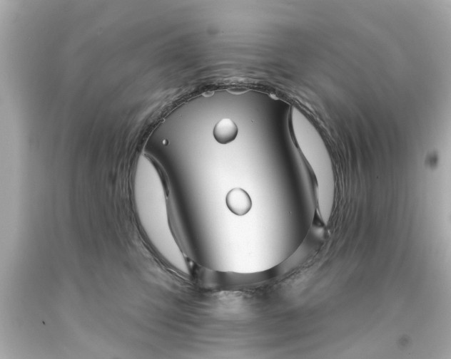 X0000094170423200711020945