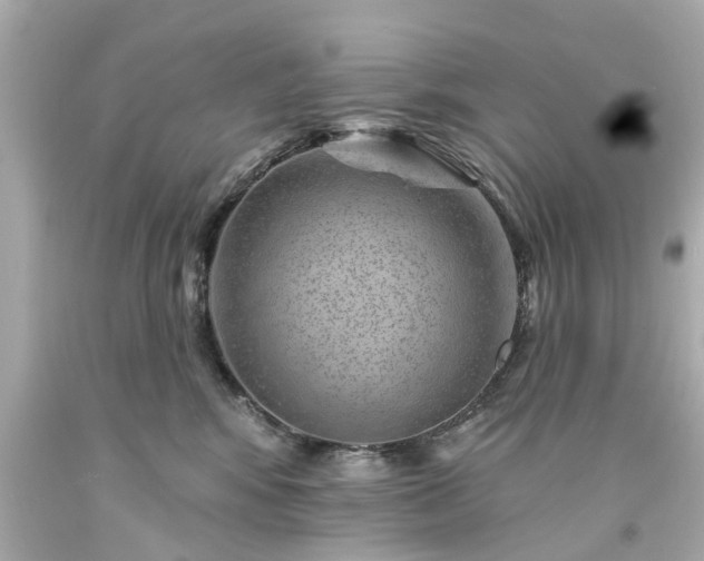 X0000094170424200711020945