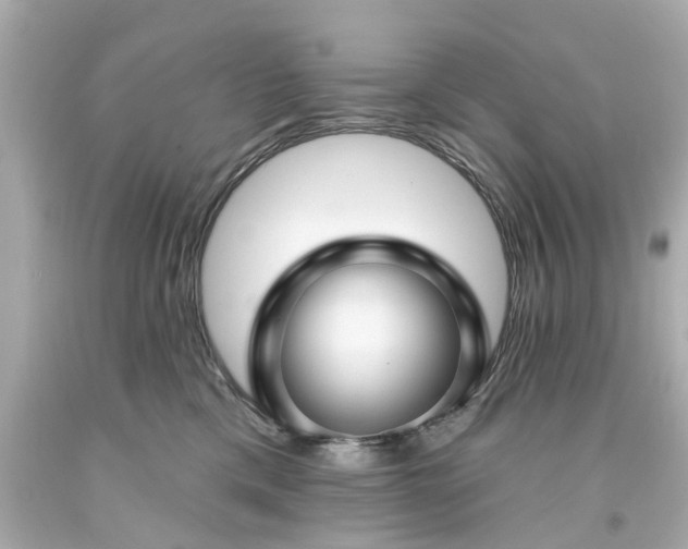 X0000094170425200711020945