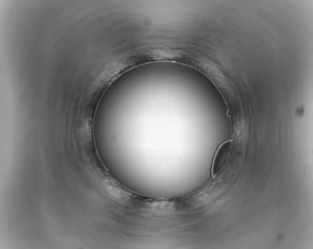 X0000094170426200711020945