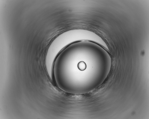 X0000094170428200711020945