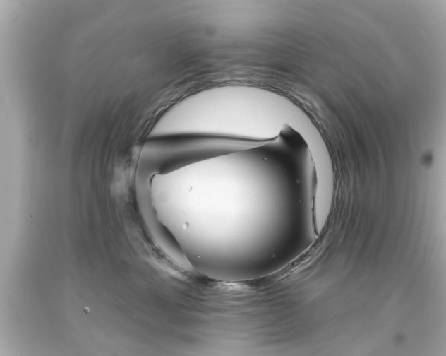 X0000094170429200711020945