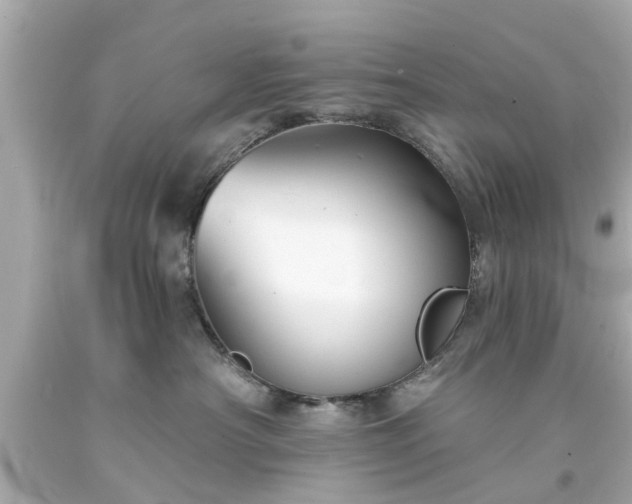 X0000094170430200711020945