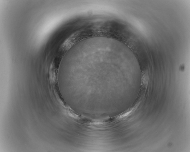 X0000094170431200711020945