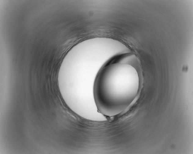 X0000094170432200711020945