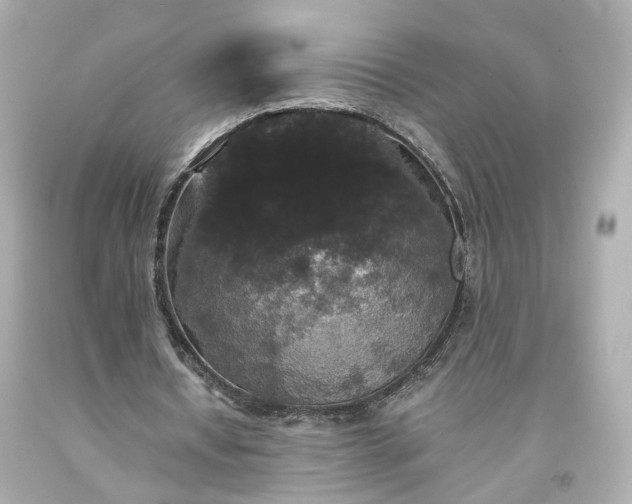X0000094170434200711020944