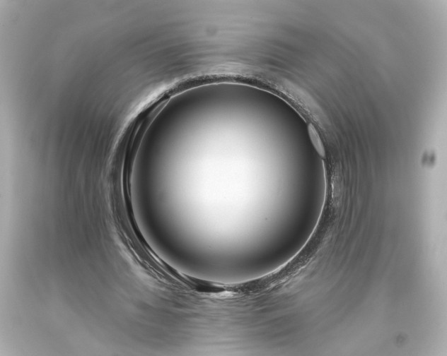 X0000094170436200711020944