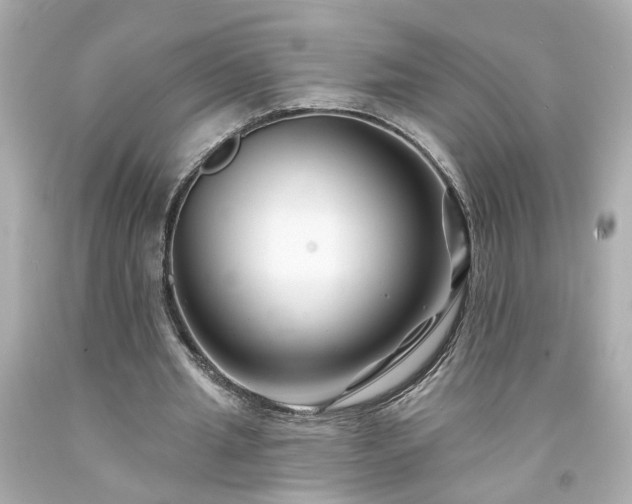 X0000094170437200711020944