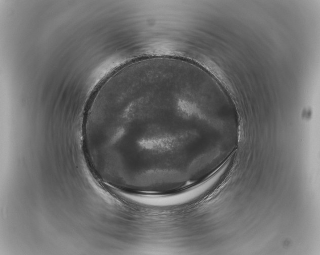 X0000094170438200711020944