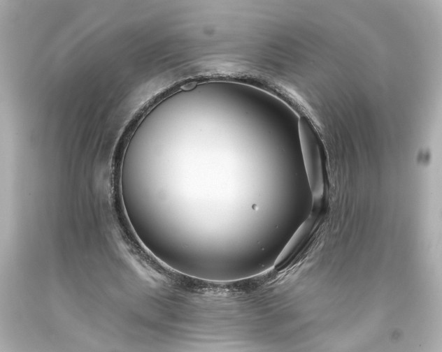 X0000094170439200711020944