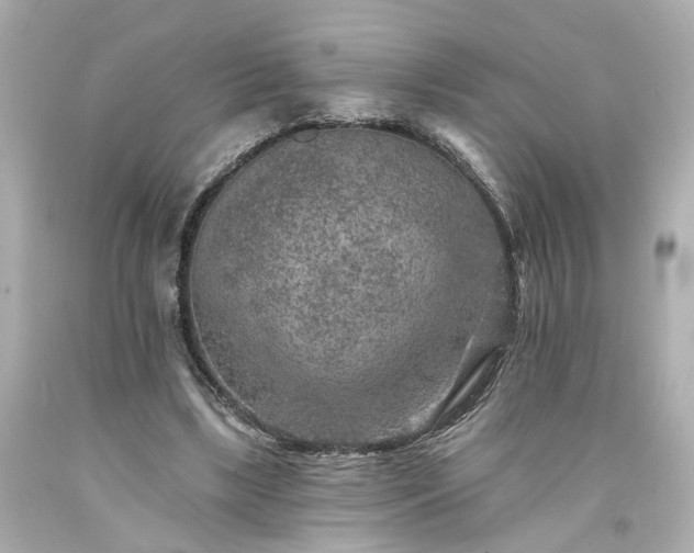 X0000094170443200711020945