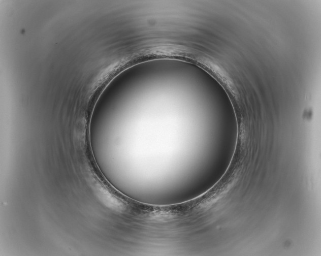 X0000094170445200711020945