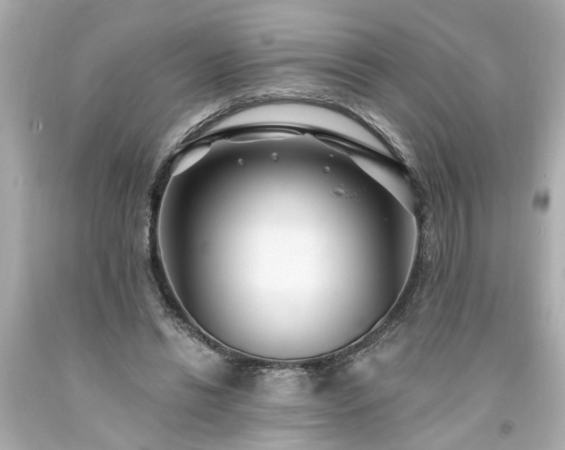 X0000094170446200711020945