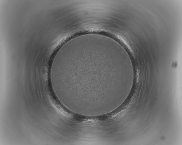 X0000094170447200711020945