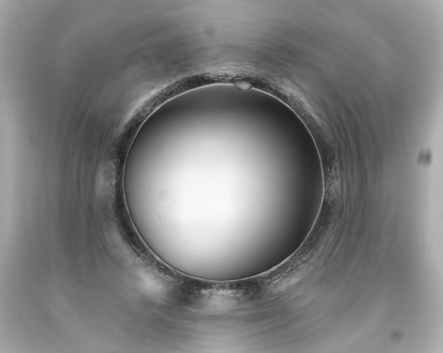 X0000094170448200711020945