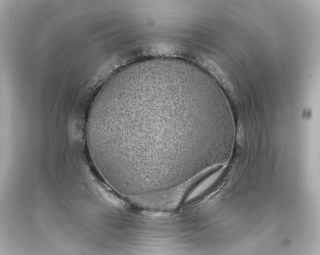 X0000094170449200711020945