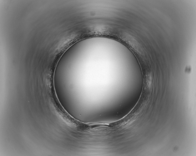 X0000094170450200711020945