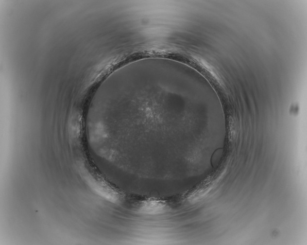 X0000094170451200711020945