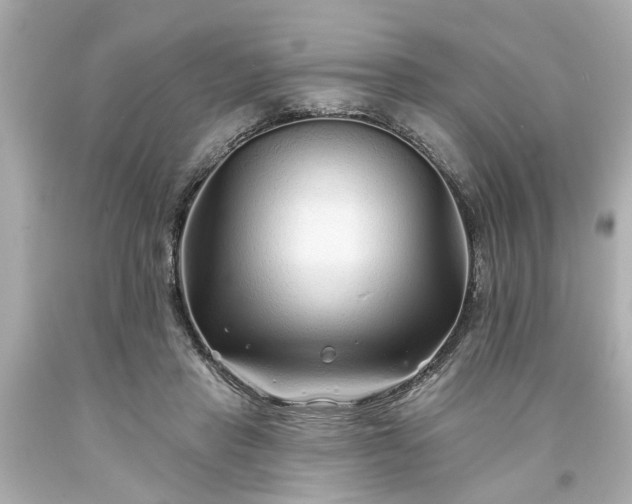 X0000094170453200711020945