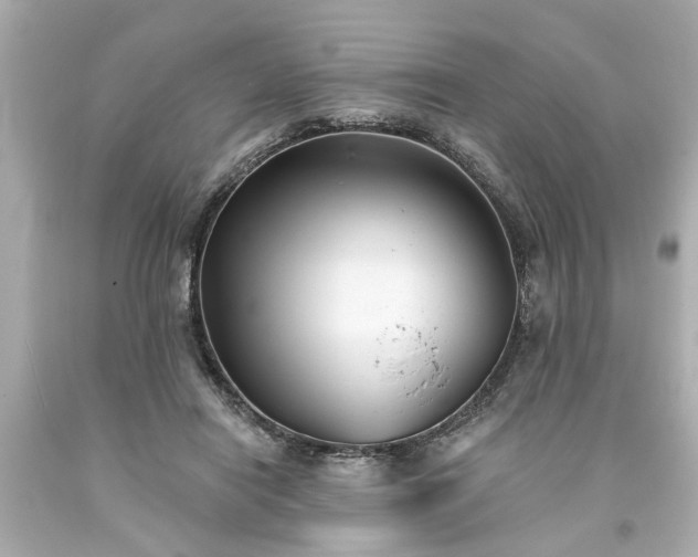 X0000094170454200711020945