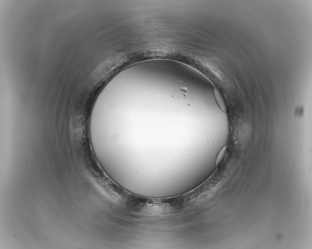 X0000094170455200711020945