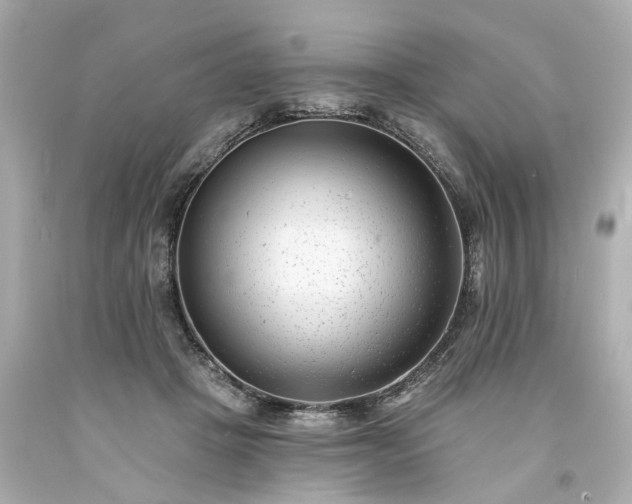 X0000094170457200711020945
