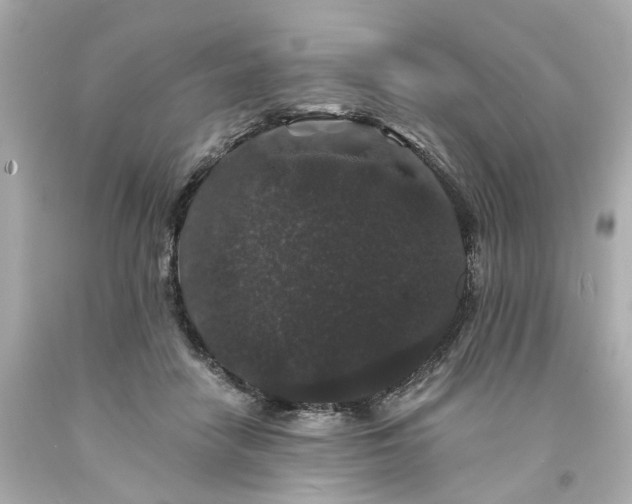 X0000094170458200711020945