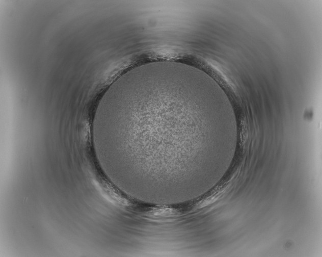 X0000094170459200711020945