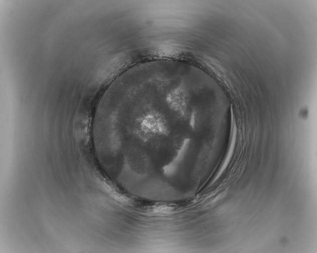 X0000094170462200711020945