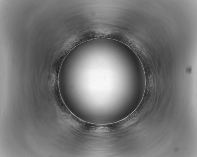 X0000094170463200711020945