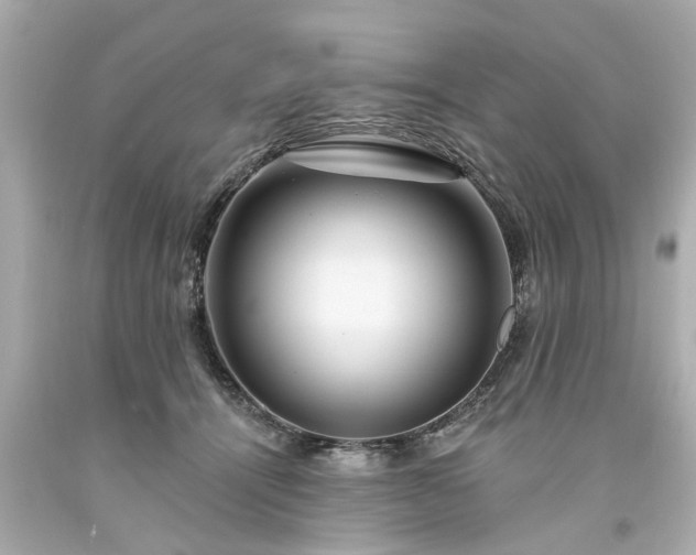 X0000094170464200711020945