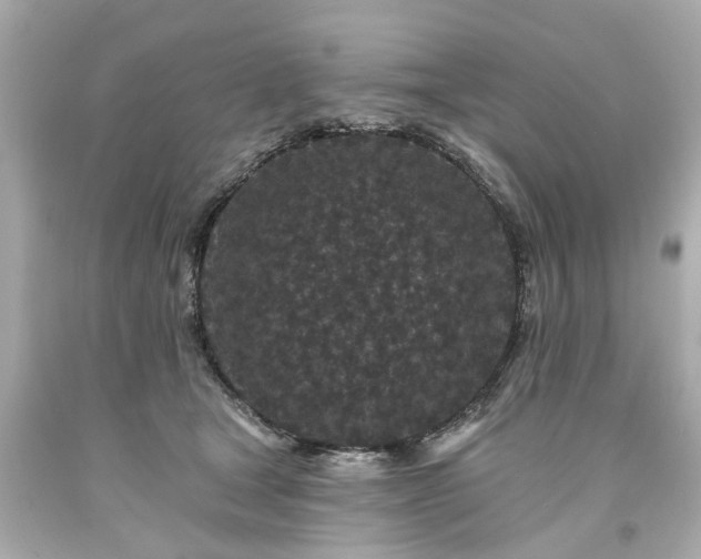 X0000094170465200711020945