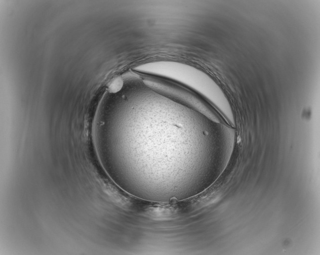 X0000094170466200711020945