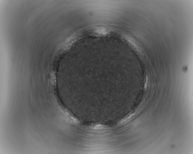 X0000094170467200711020945