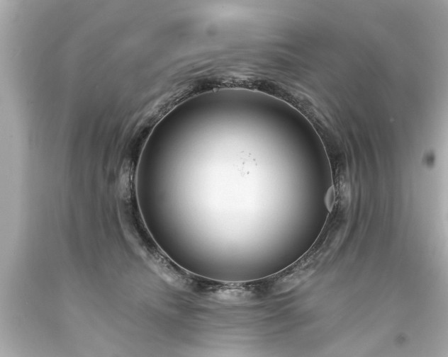 X0000094170468200711020945