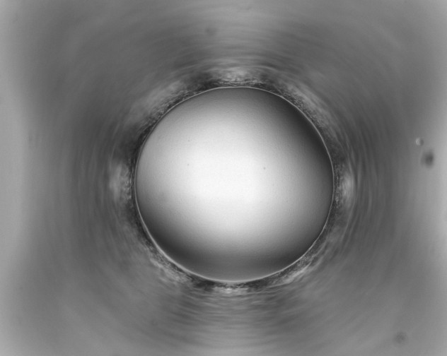 X0000094170469200711020945