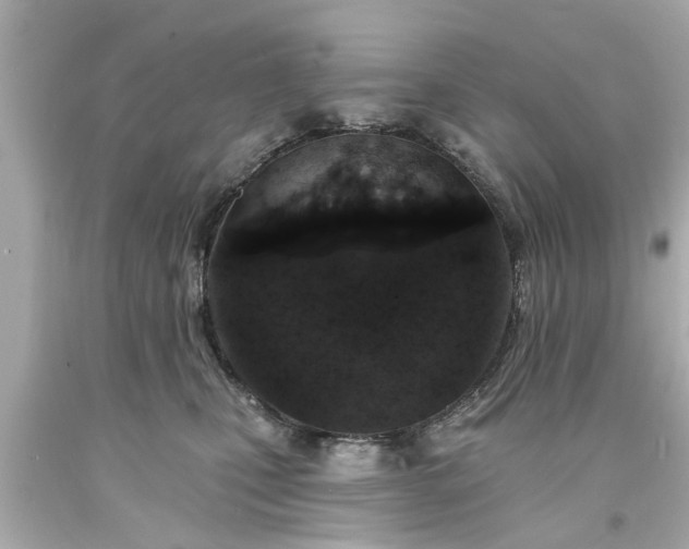X0000094170471200711020945