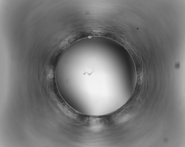 X0000094170472200711020945