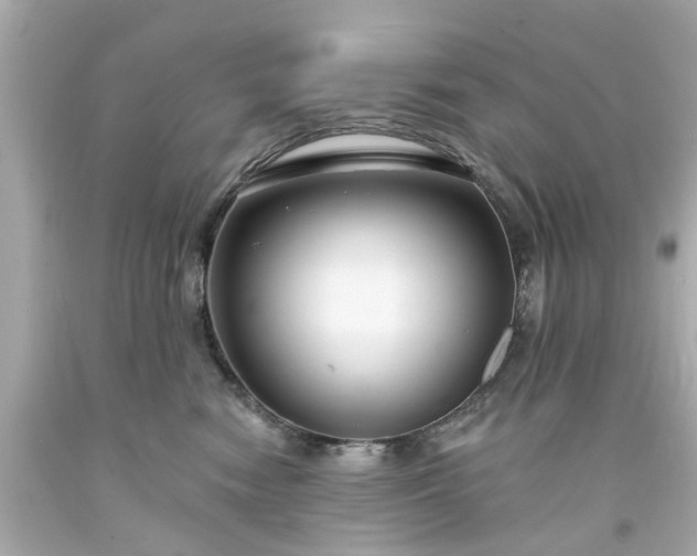 X0000094170474200711020945