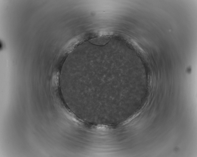 X0000094170475200711020945