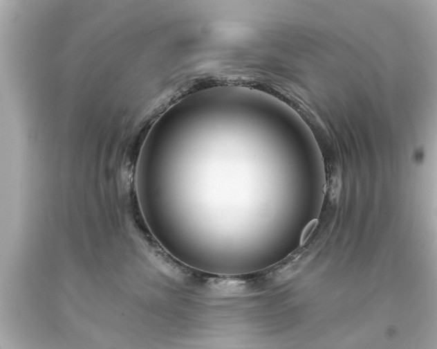 X0000094170476200711020945