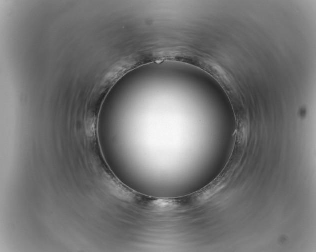 X0000094170477200711020945