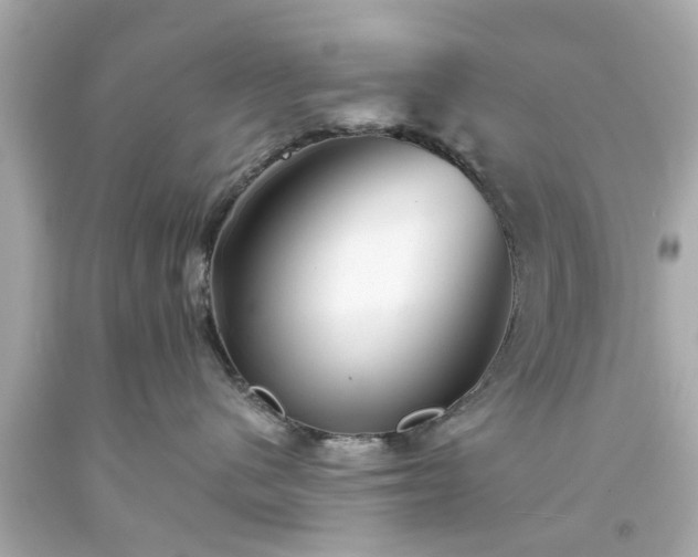 X0000094170480200711020945