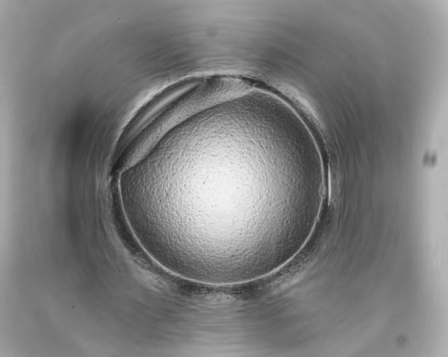 X0000094170483200711020944