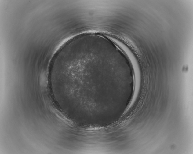 X0000094170484200711020944